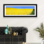 Sunlit Rapeseed Field Wall Art