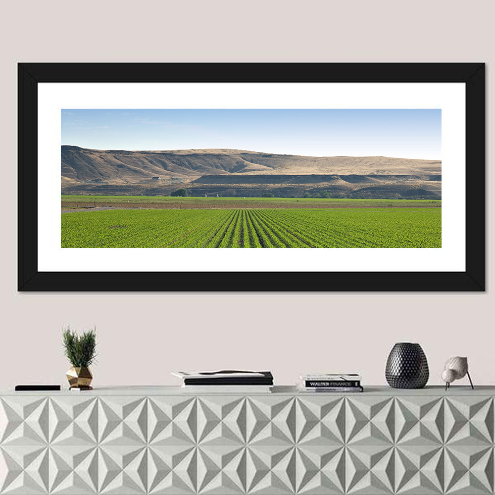 Idaho Corn Field Wall Art in a room, panoramic