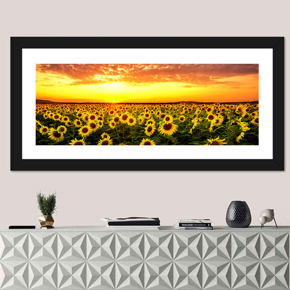 Golden Hour Sunflower Field Wall Art in a room, panoramic