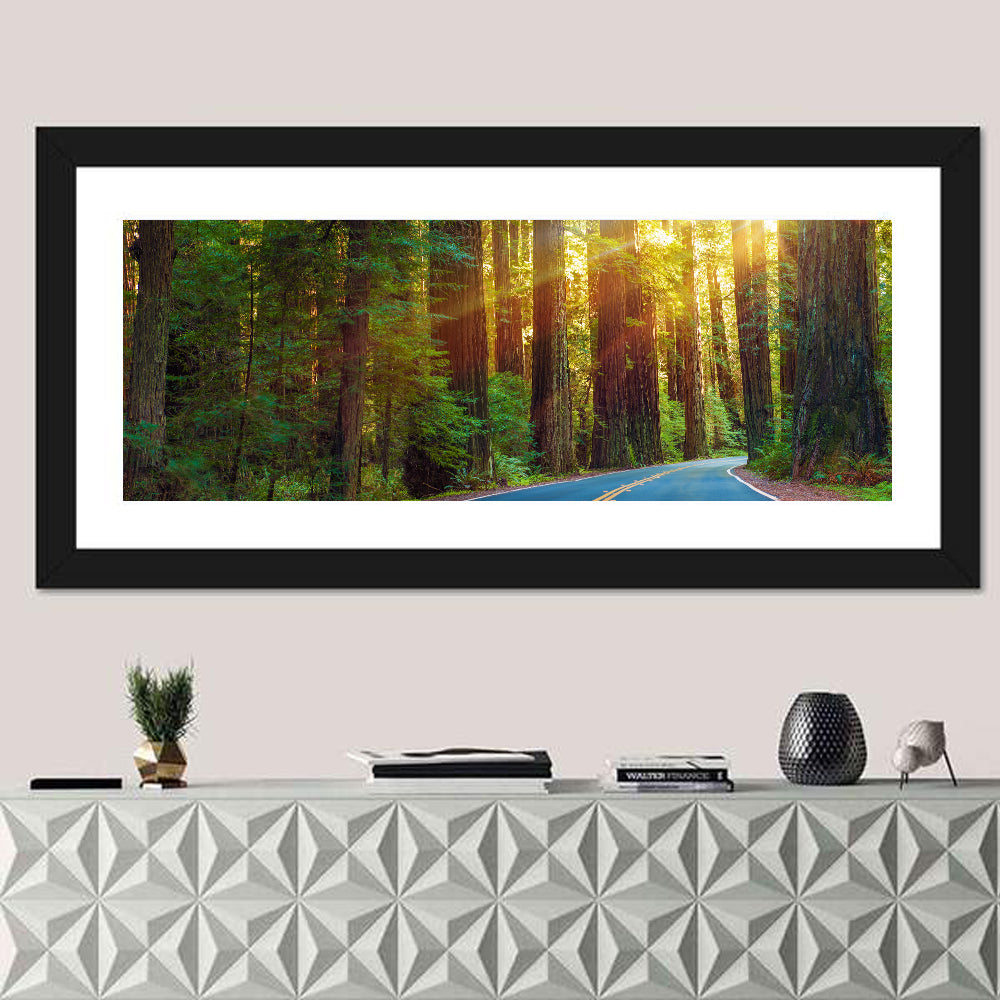 Sunlit Redwood Highway Wall Art