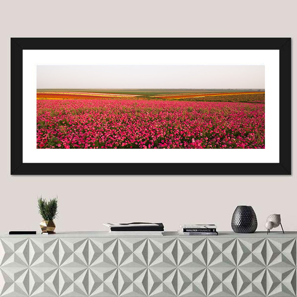 Pink Ranunculus Flower Field Wall Art