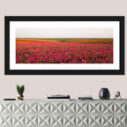 Pink Ranunculus Flower Field Wall Art