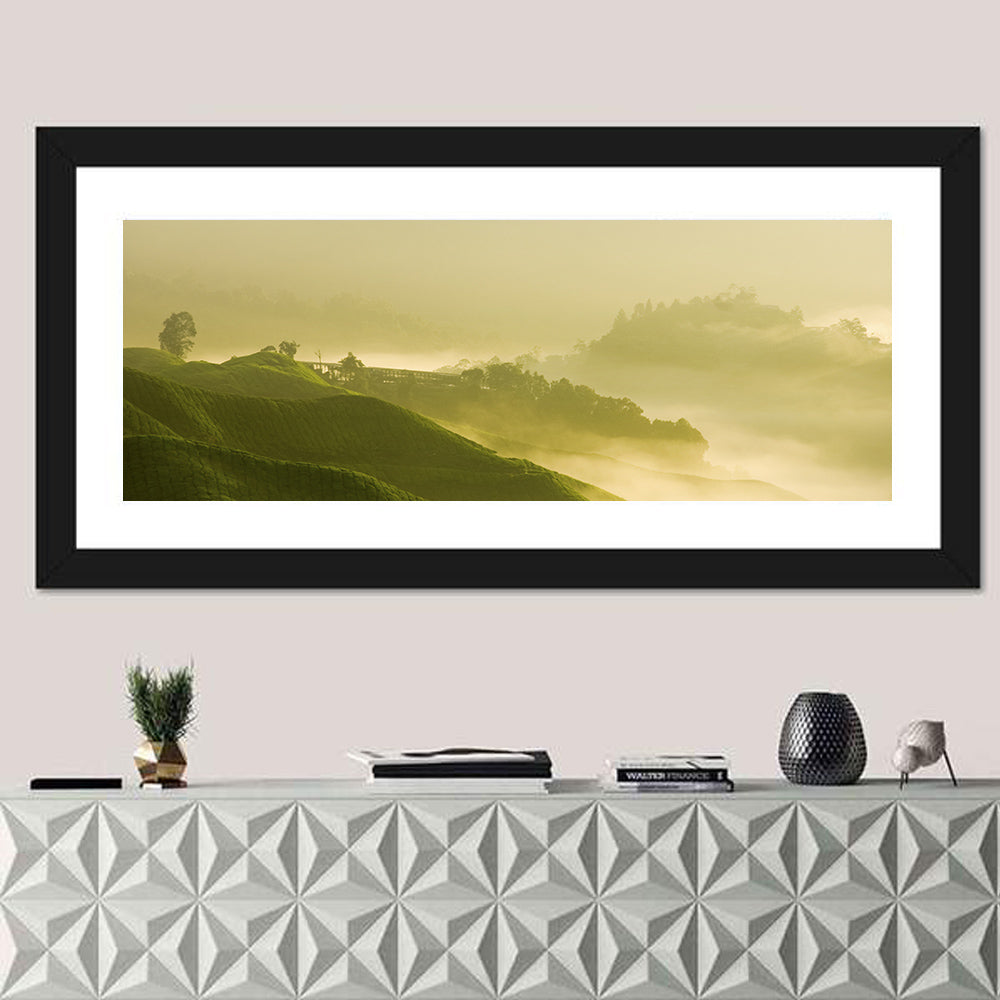 Tea Plantation Morning Mist Wall Art in a room, panoramic
