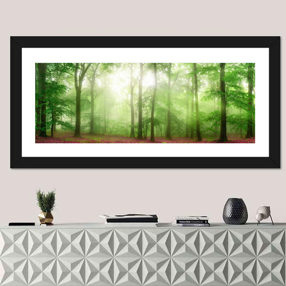 Sunlit Misty Forest Wall Art