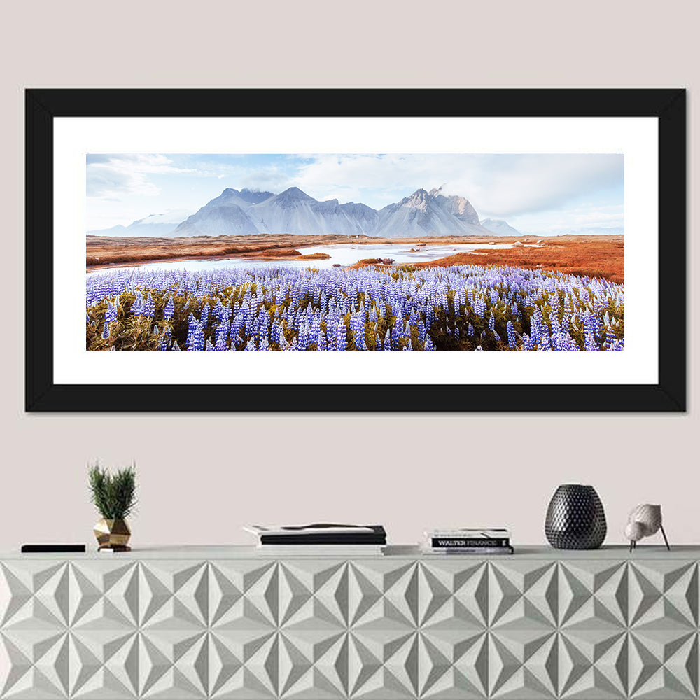 Lupine Fields at Vestrahorn Wall Art in a room, panoramic