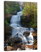 Desoto Falls Cascading Waterfall Wall Art