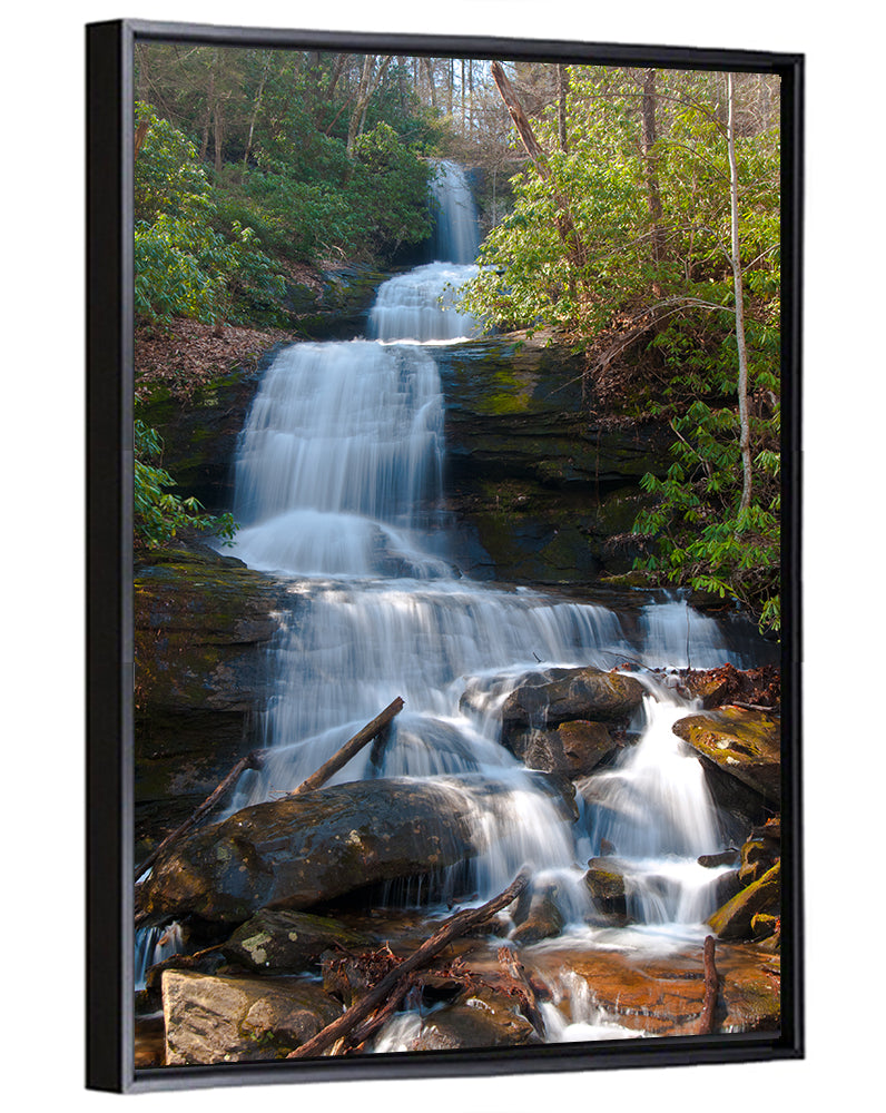 Desoto Falls Cascading Waterfall Wall Art