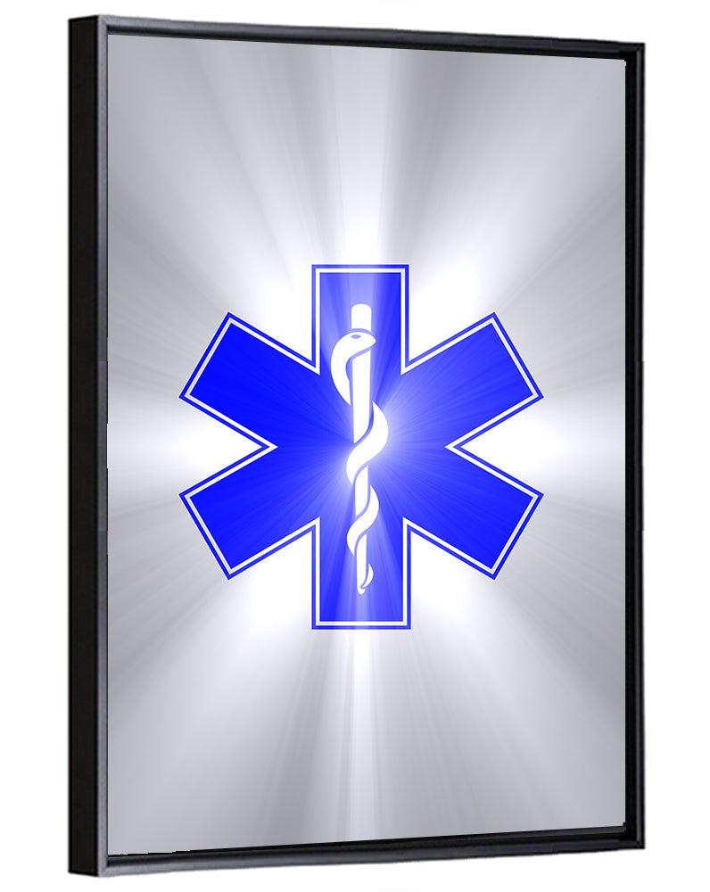 Star of Life with Rod of Asclepius Wall Art