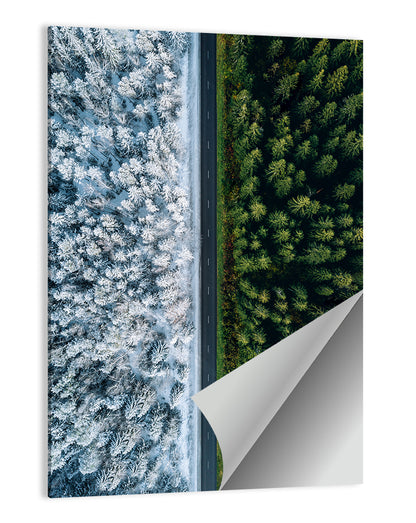 Summer & Winter Forests Wall Art