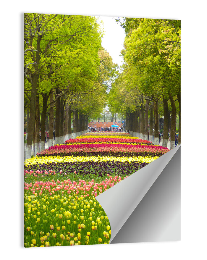 Tree-lined Tulip Garden Path Wall Art as a poster print