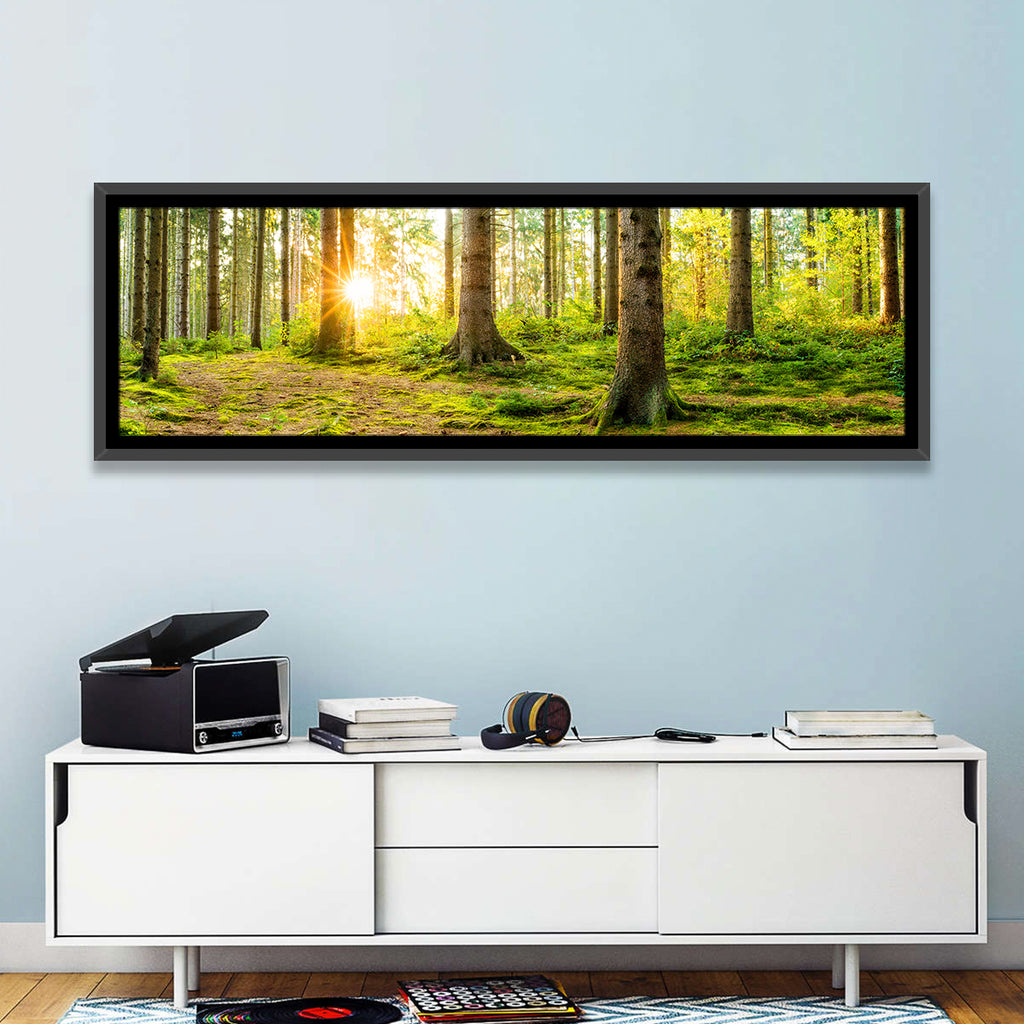 Sunburst Over Mossy Forest Wall Art