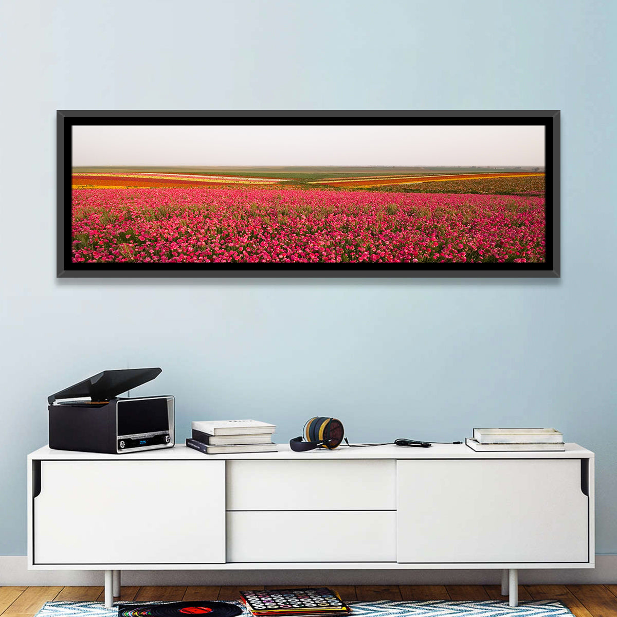 Pink Ranunculus Flower Field Wall Art in a room, panoramic