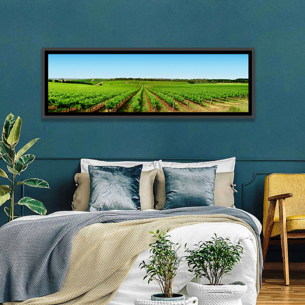 Sunlit Vineyard Rows Wall Art