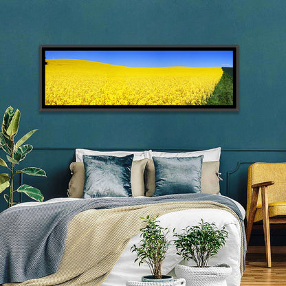 Rapeseed Field Wall Art