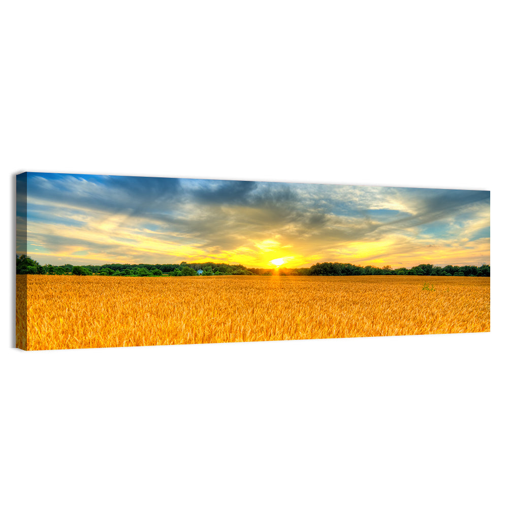 Wheat Field Sunset Wall Art, canvas print, panoramic