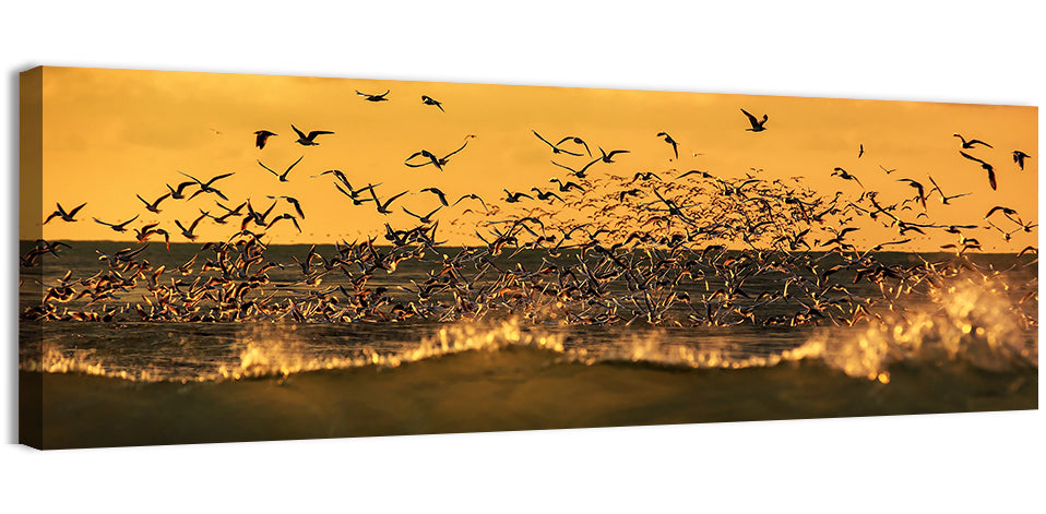 Seagull Flock at Golden Hour Wall Art