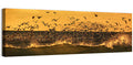 Seagull Flock at Golden Hour Wall Art