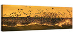 Seagull Flock at Golden Hour Wall Art