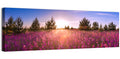 Sunrise Wildflower Meadow Wall Art