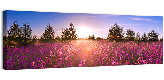 Blossoming Meadow Field Wall Art