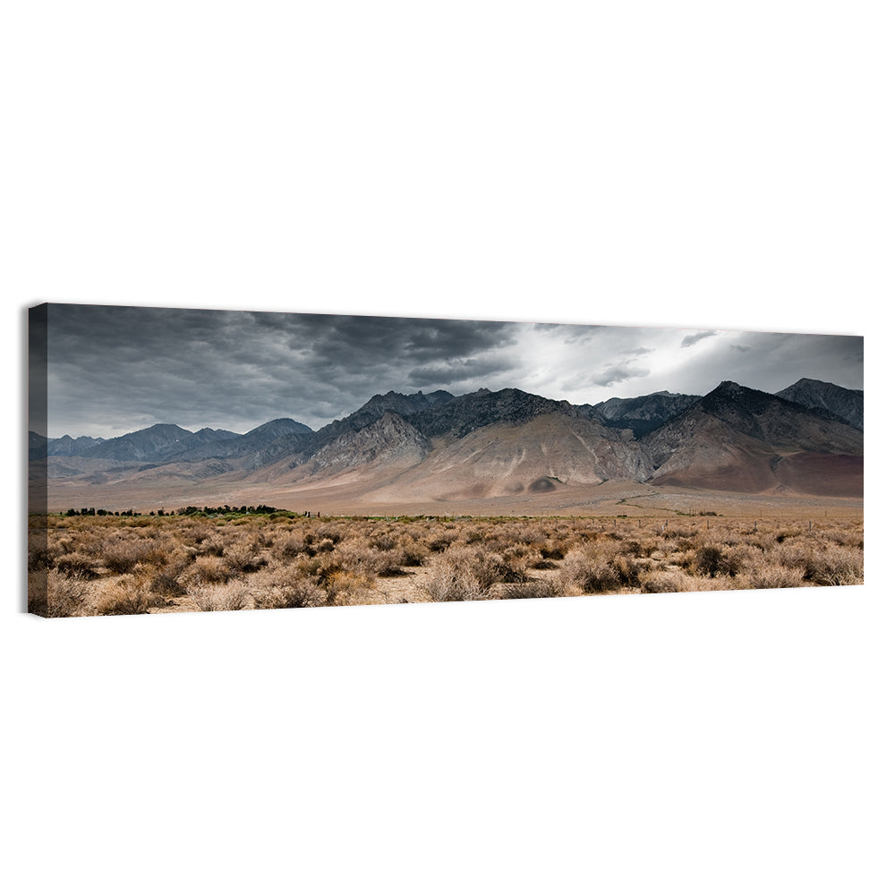 Storm Over Death Valley Wall Art, canvas print, panoramic