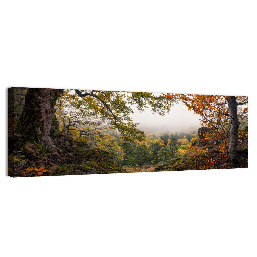 Enchanted Forest Valley Wall Art, canvas print, panoramic