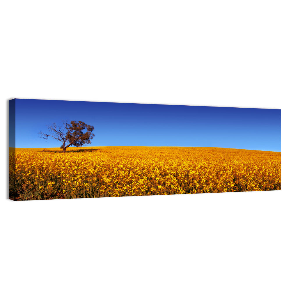 Canola Field with Lone Tree Wall Art, canvas print, panoramic