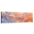 Sunlit Winter Forest Wall Art