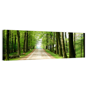 Forest Walking Path Wall Art