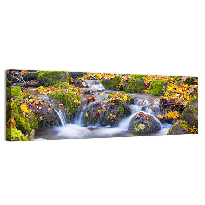 Mossy Autumn Stream Wall Art as a canvas print