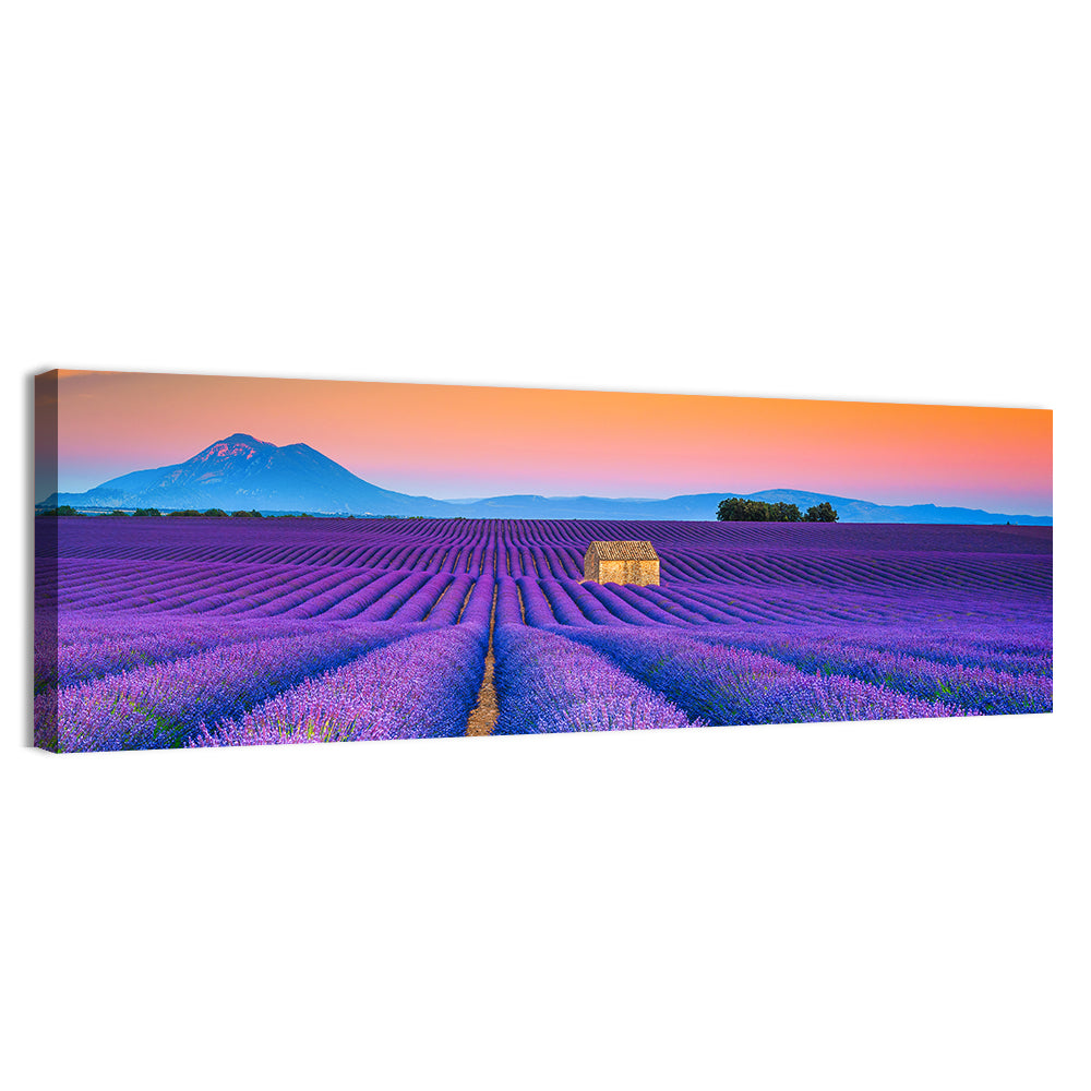 Valensole Lavender Fields at Sunset Wall Art, canvas print, panoramic