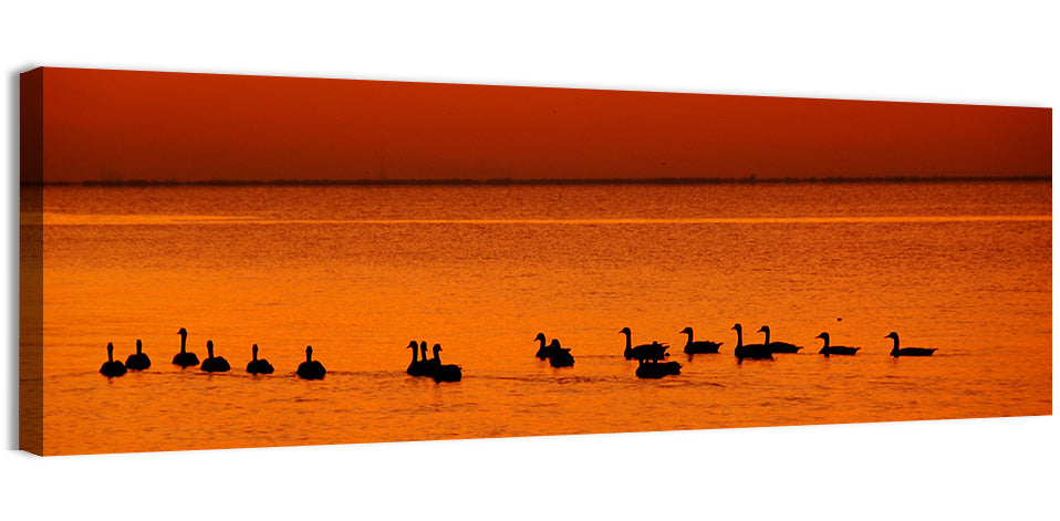 Geese Silhouettes at Orange Sunset Wall Art, canvas print, panoramic