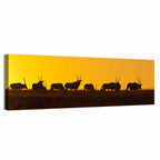 Namibian Gemsbok Silhouettes Wall Art