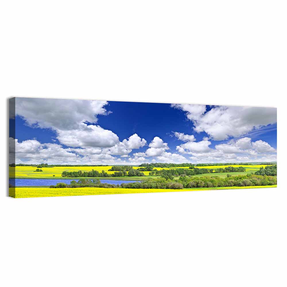 Saskatchewan Canola Field Wall Art, canvas print, panoramic