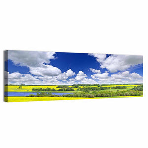 Canola Field In Saskatchewan Wall Art