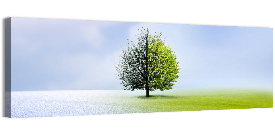 Winter to Spring Tree Wall Art
