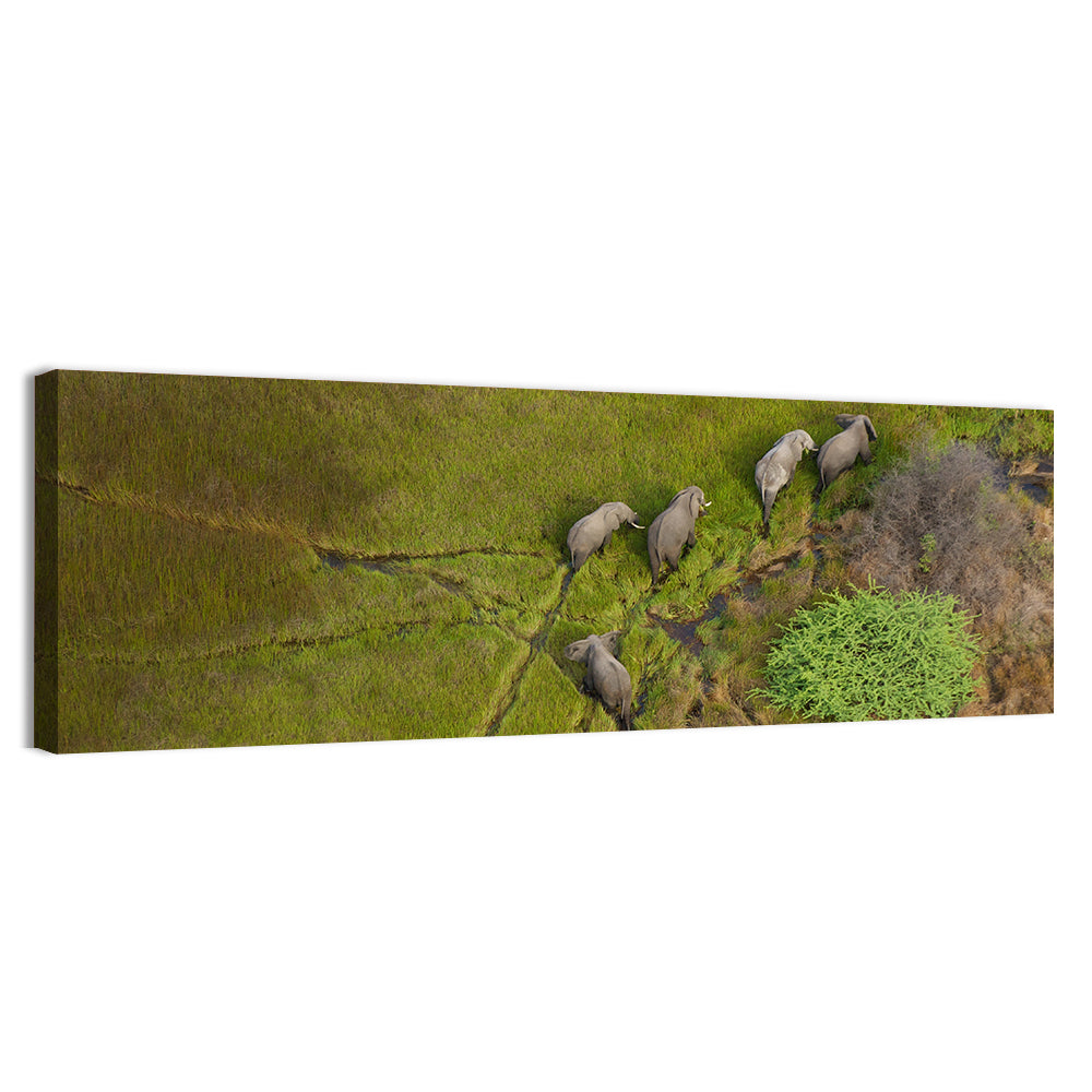 Aerial Herd of Elephants Wall Art, canvas print, panoramic