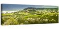 Spring Blossoms in Polana Wall Art