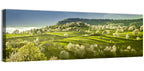 Spring Blossoms in Polana Wall Art