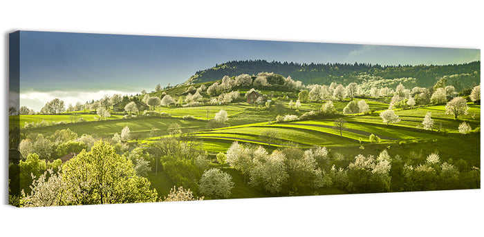 Spring Blossoms in Polana Wall Art as a canvas print