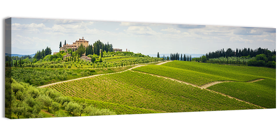 Chianti Vineyard Hills Wall Art, canvas print, panoramic
