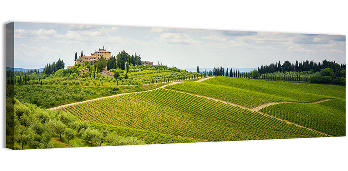 Chianti Vineyard Hills Wall Art as a canvas print