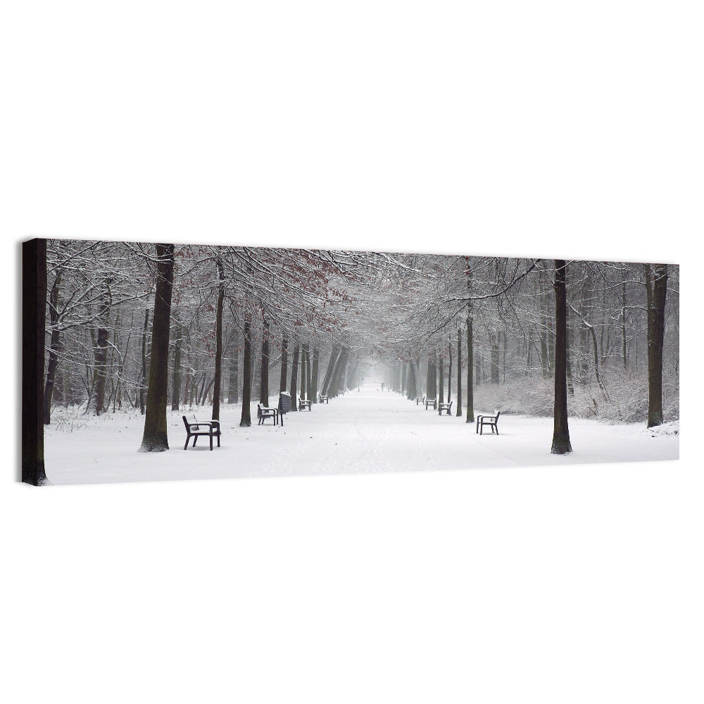 Snow Covered Park Lane Wall Art