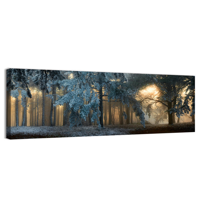 Sunlit Snow Covered Forest Wall Art as a canvas print
