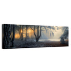 Frosted Forest Morning Light Wall Art