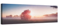 Morning Tree Silhouette Wall Art