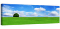 Solitary Tree Over Green Meadow Wall Art