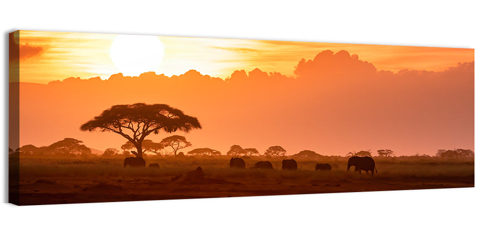 African Elephant Herd at Sunset Wall Art