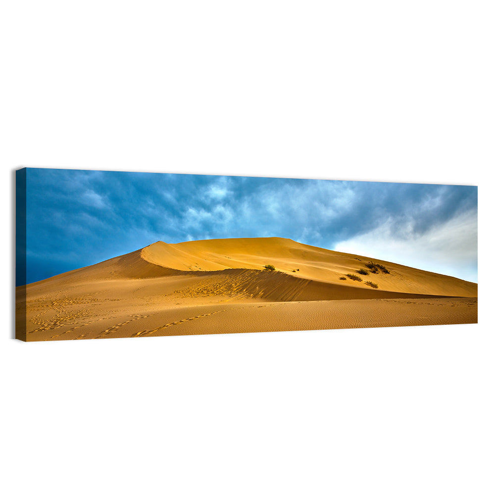 Altyn Emel Sand Dunes Wall Art, canvas print, panoramic