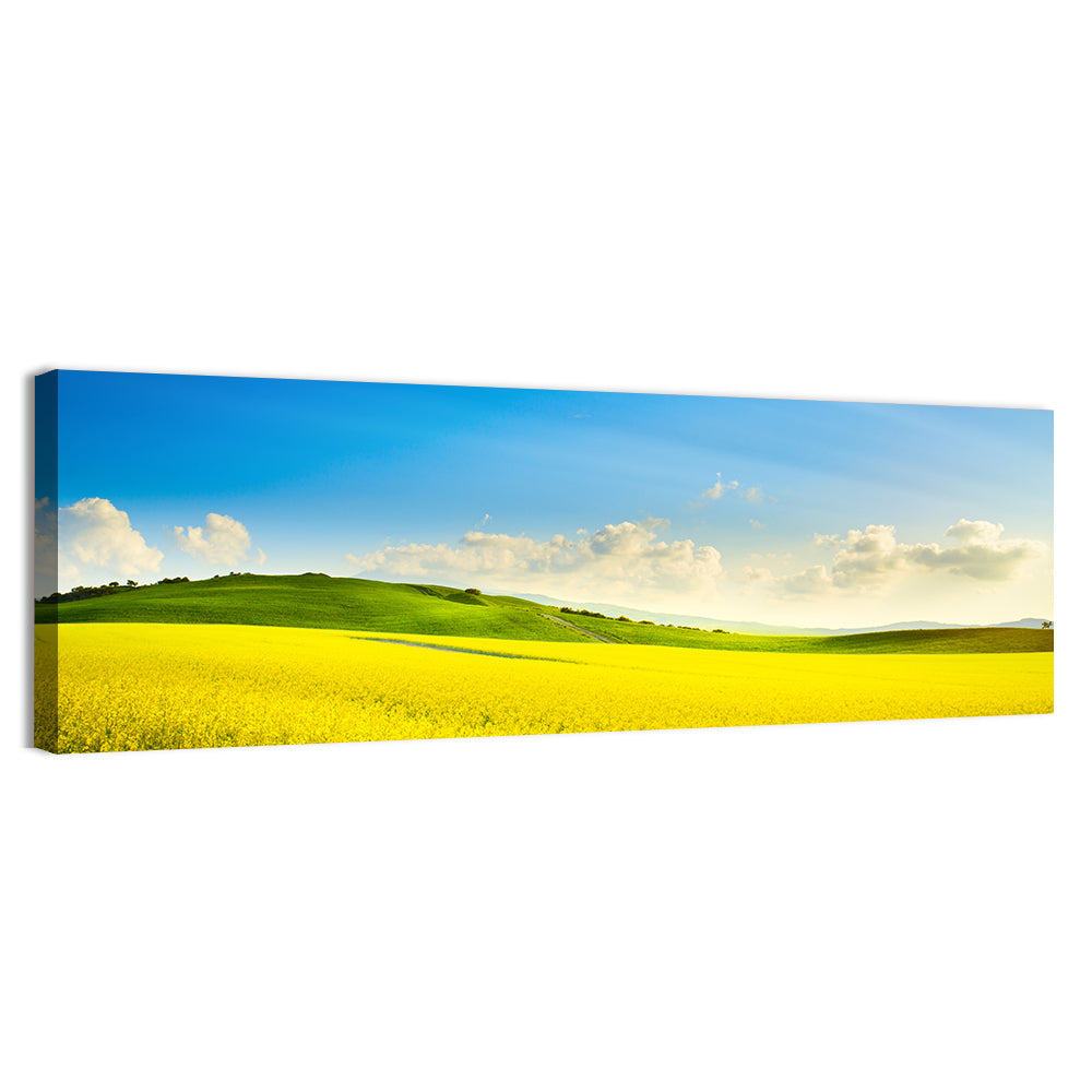 Rapeseed Field and Rolling Hills Under Blue Sky Wall Art